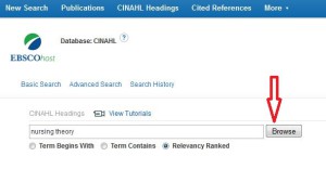 nursing theory search
